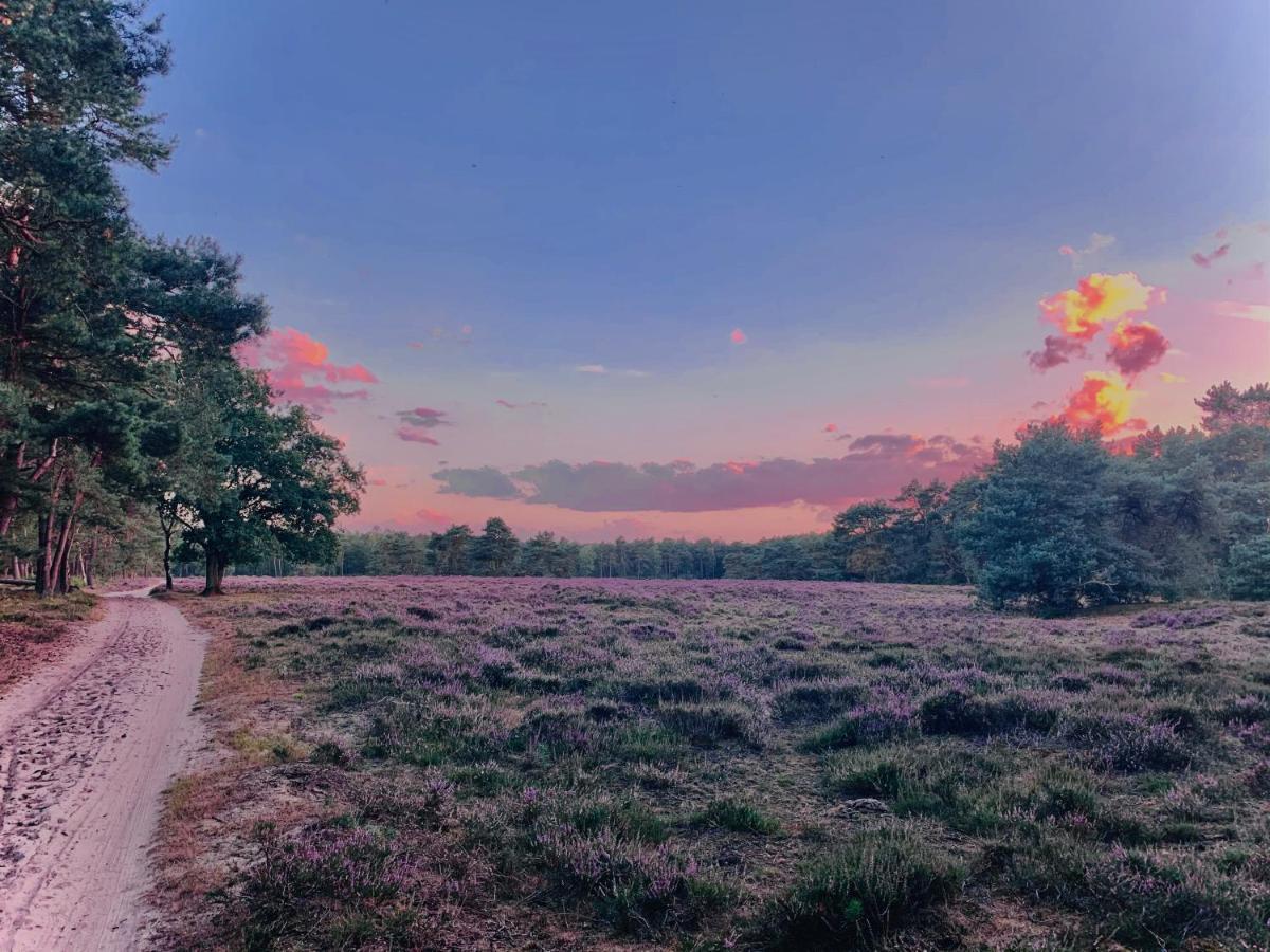 Rode Bosuil: Thuiskomen Op De Veluwe! Otterlo Luaran gambar