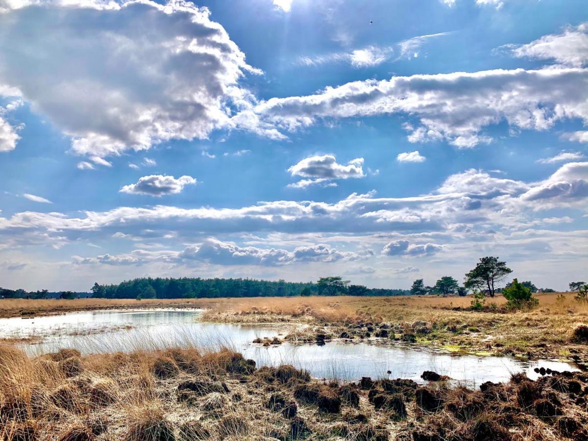 Rode Bosuil: Thuiskomen Op De Veluwe! Otterlo Luaran gambar